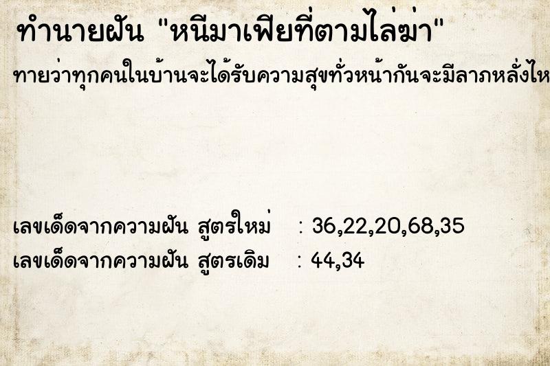 ทำนายฝันหนีมาเฟียที่ตามไล่ฆ่า ทำนายฝันทำนายฝันหนีมาเฟียที่ตามไล่ฆ่า