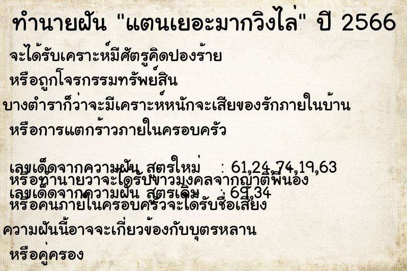 ทำนายฝันแตนเยอะมากวิงไล่ ทำนายฝันทำนายฝันแตนเยอะมากวิงไล่