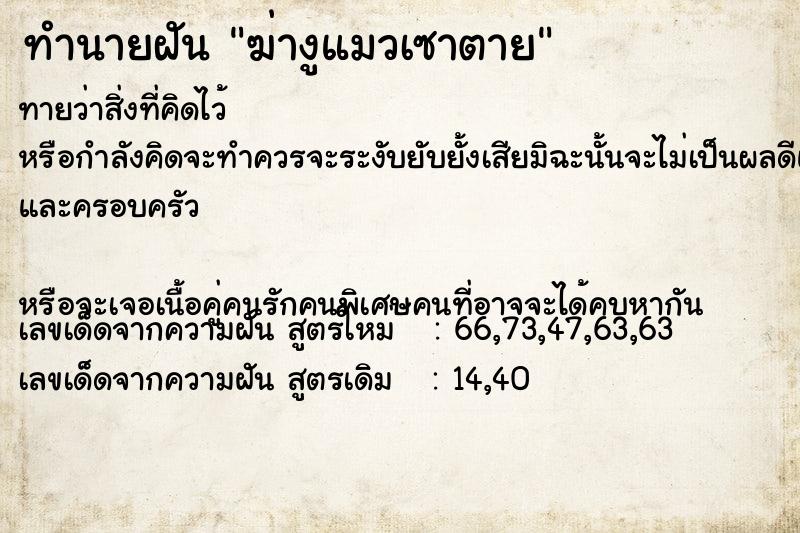 ทำนายฝันฆ่างูแมวเซาตาย ทำนายฝันทำนายฝันฆ่างูแมวเซาตาย