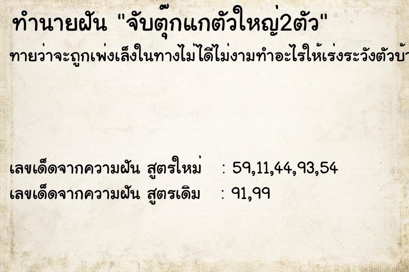 ทำนายฝัน จับตุ๊กแกตัวใหญ่2ตัว
