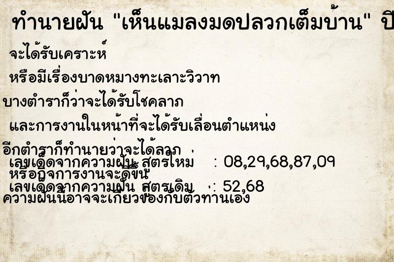 ทำนายฝันทำนายฝันเห็นแมลงมดปลวกเต็มบ้าน