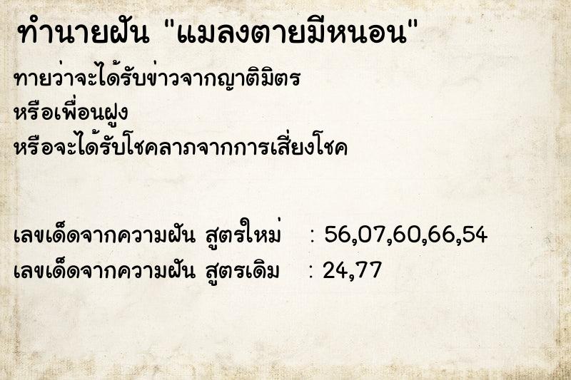 ทำนายฝันแมลงตายมีหนอน ทำนายฝันทำนายฝันแมลงตายมีหนอน