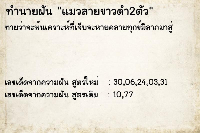 ทำนายฝันแมวลายขาวดำ2ตัว ทำนายฝันทำนายฝันแมวลายขาวดำ2ตัว