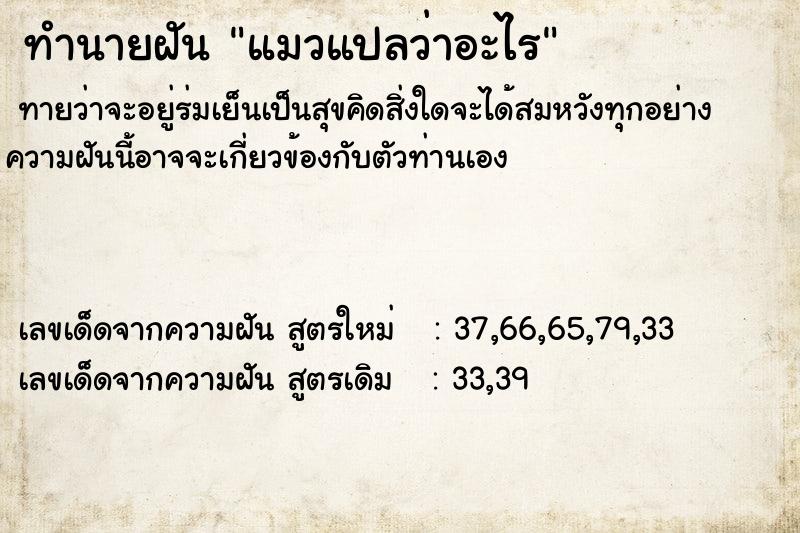 ทำนายฝันแมวแปลว่าอะไร ทำนายฝันทำนายฝันแมวแปลว่าอะไร