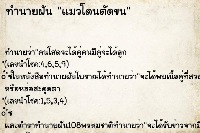ทำนายฝัน แมวโดนตัดขน