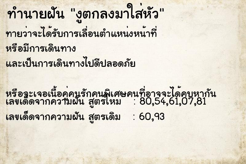 ทำนายฝันงูตกลงมาใส่หัว ทำนายฝันทำนายฝันงูตกลงมาใส่หัว