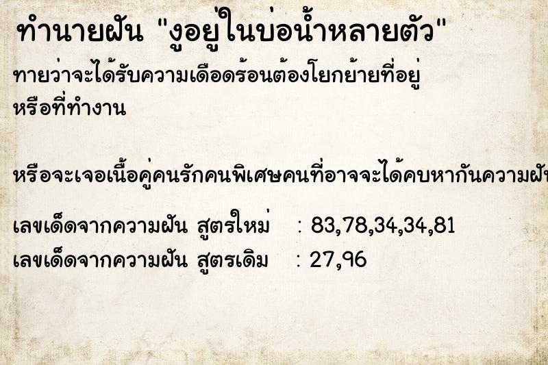 ทำนายฝัน งูอยู่ในบ่อน้ำหลายตัว ทำนายฝัน งูอยู่ในบ่อน้ำหลายตัว