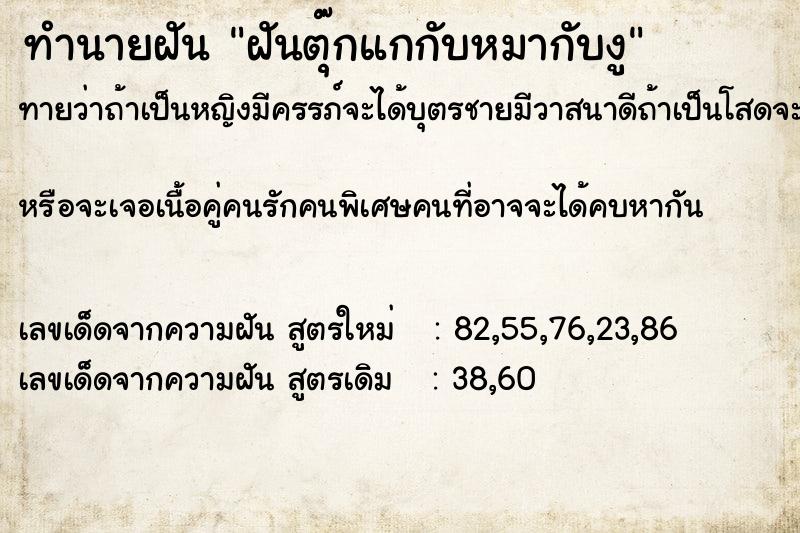 ทำนายฝันฝันตุ๊กแกกับหมากับงู ทำนายฝันทำนายฝันฝันตุ๊กแกกับหมากับงู