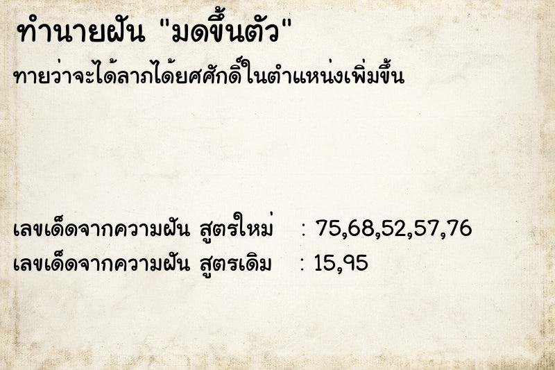 ทำนายฝันมดขึ้นตัว ทำนายฝันทำนายฝันมดขึ้นตัว