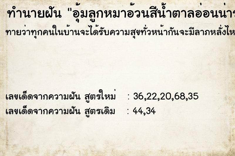 ทำนายฝันทำนายฝันอุ้มลูกหมาอ้วนสีน้ำตาลอ่อนน่ารักมาก