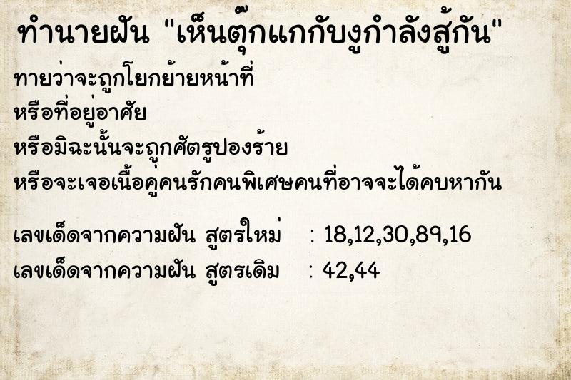 ทำนายฝันทำนายฝันเห็นตุ๊กแกกับงูกำลังสู้กัน