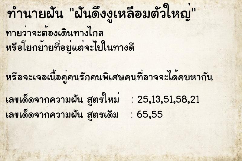 ทำนายฝันฝันดึงงูเหลือมตัวใหญ่ ทำนายฝันทำนายฝันฝันดึงงูเหลือมตัวใหญ่