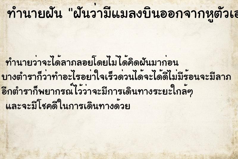 ทำนายฝัน ฝันว่ามีแมลงบินออกจากหูตัวเองคนฝันเป็นผู้หญิง ทำนายฝัน ฝันว่ามีแมลงบินออกจากหูตัวเองคนฝันเป็นผู้หญิง