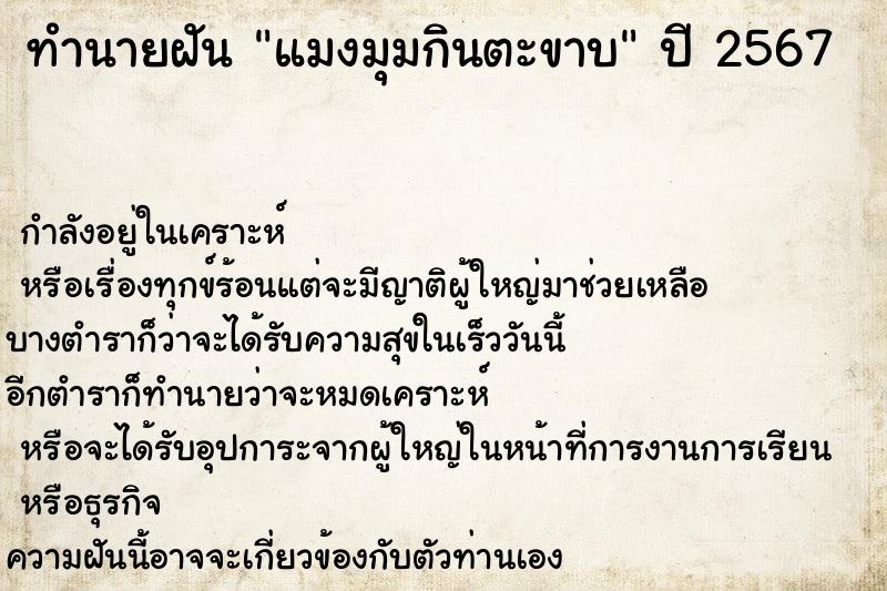 ทำนายฝัน แมงมุมกินตะขาบ ทำนายฝัน แมงมุมกินตะขาบ