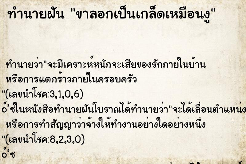 ทำนายฝัน ขาลอกเป็นเกล็ดเหมือนงู