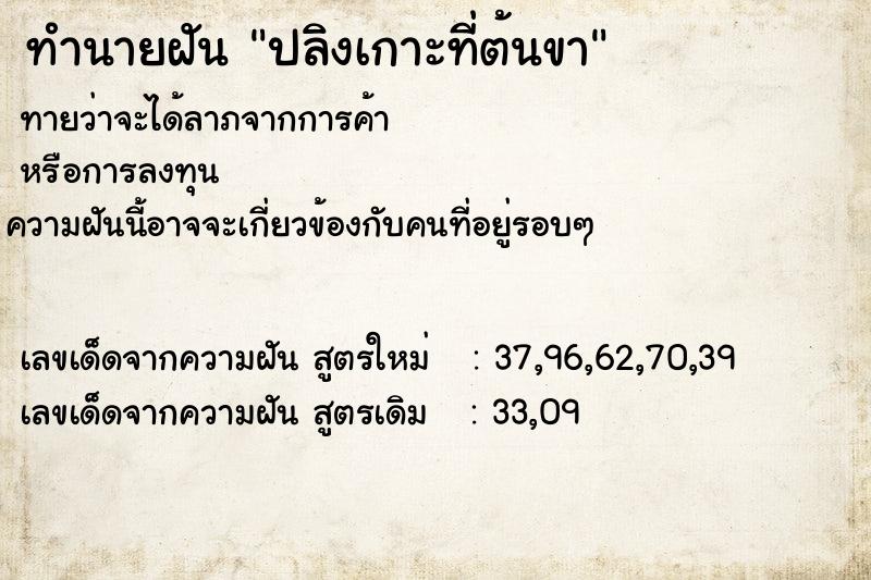 ทำนายฝันปลิงเกาะที่ต้นขา ทำนายฝันทำนายฝันปลิงเกาะที่ต้นขา