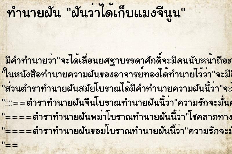 ทำนายฝันฝันว่าได้เก็บแมงจีนูน ทำนายฝันทำนายฝันฝันว่าได้เก็บแมงจีนูน