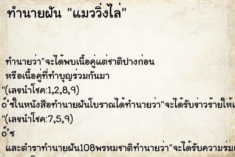 ทำนายฝันทำนายฝันแมววิ่งไล่