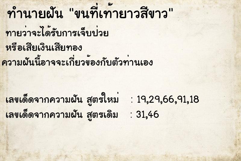 ทำนายฝันทำนายฝันขนที่เท้ายาวสีขาว