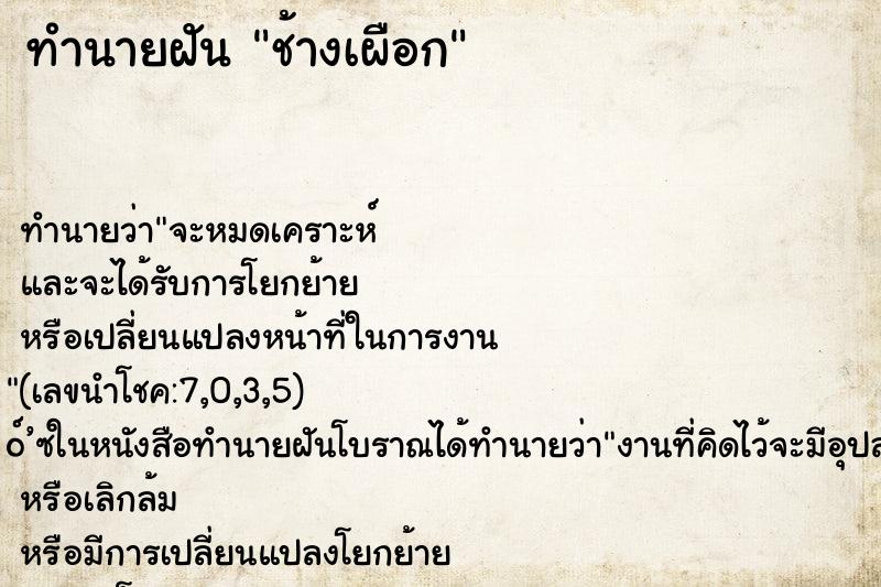 ทำนายฝัน ช้างเผือก ตำราโบราณ แม่นที่สุดในโลก