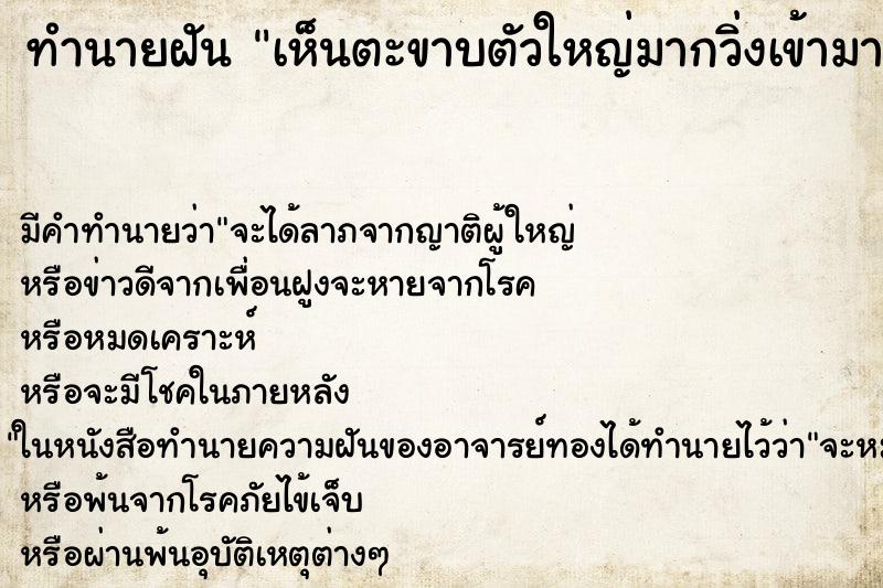 ทำนายฝัน เห็นตะขาบตัวใหญ่มากวิ่งเข้ามาหา