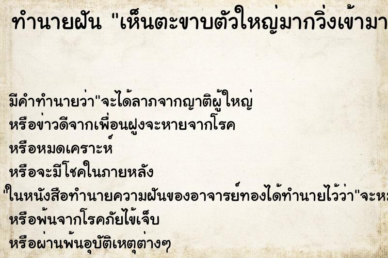 ทำนายฝัน เห็นตะขาบตัวใหญ่มากวิ่งเข้ามาหา ตำราโบราณ แม่นที่สุดในโลก