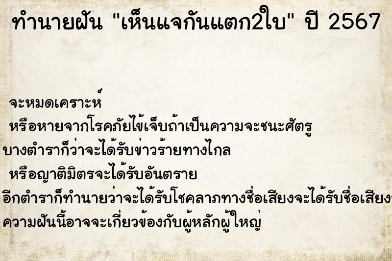 ทำนายฝัน เห็นแจกันแตก2ใบ ทำนายฝัน เห็นแจกันแตก2ใบ