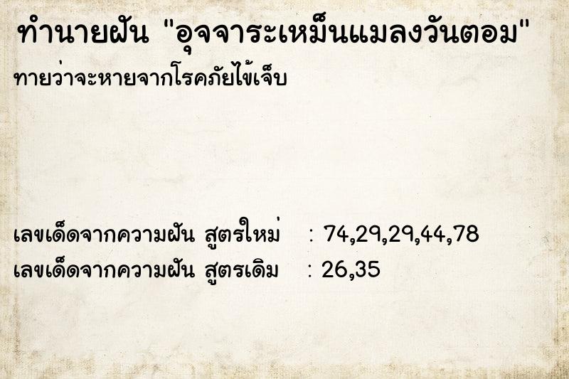 ทำนายฝันทำนายฝันอุจจาระเหม็นแมลงวันตอม