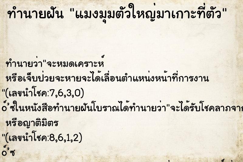 ทำนายฝันทำนายฝันแมงมุมตัวใหญ่มาเกาะที่ตัว