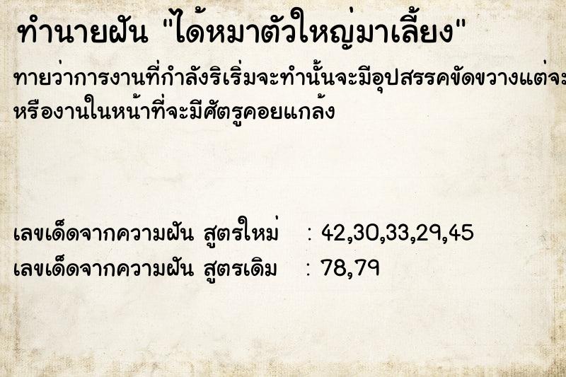 ทำนายฝันทำนายฝันได้หมาตัวใหญ่มาเลี้ยง