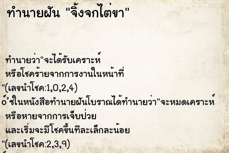 ทำนายฝันจิ้งจกไต่ขา ทำนายฝันทำนายฝันจิ้งจกไต่ขา