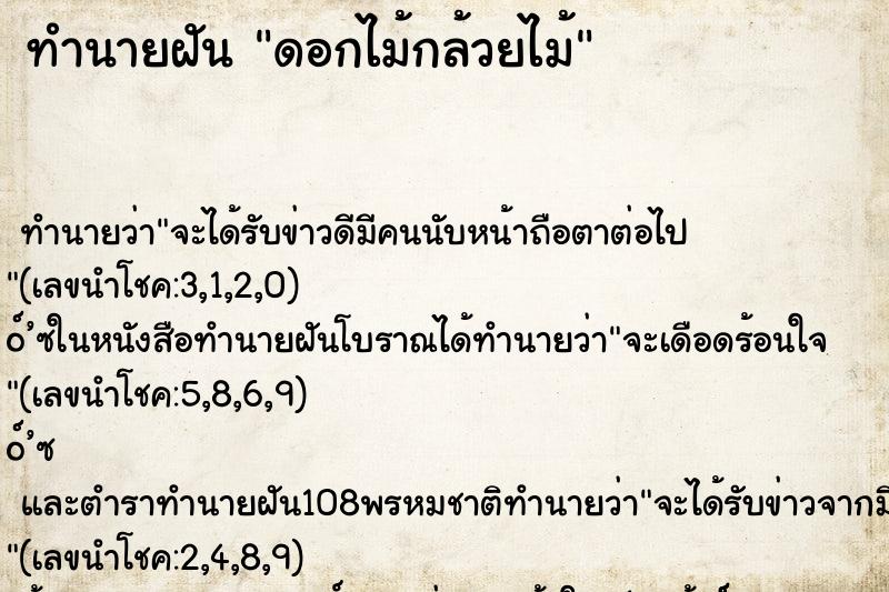 ทำนายฝัน ดอกไม้กล้วยไม้ ทำนายฝัน ดอกไม้กล้วยไม้