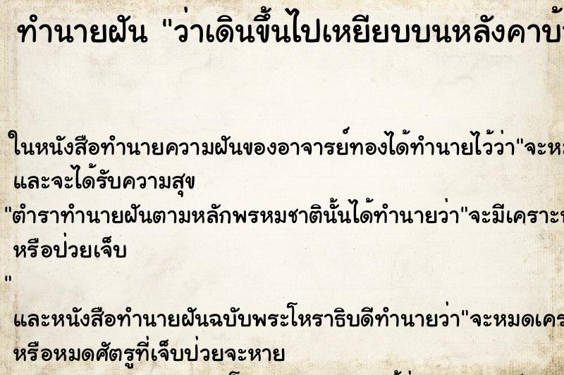 ทำนายฝันว่าเดินขึ้นไปเหยียบบนหลังคาบ้าน ทำนายฝันทำนายฝันว่าเดินขึ้นไปเหยียบบนหลังคาบ้าน