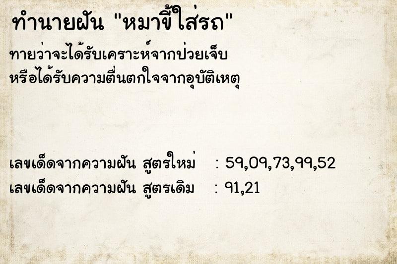 ทำนายฝันหมาขี้ใส่รถ ทำนายฝันทำนายฝันหมาขี้ใส่รถ