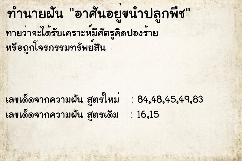 ทำนายฝันอาศันอยู่ขนำปลูกพืช ทำนายฝันทำนายฝันอาศันอยู่ขนำปลูกพืช