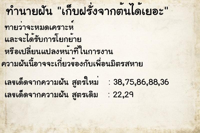 ทำนายฝันทำนายฝันเก็บฝรั่งจากต้นได้เยอะ