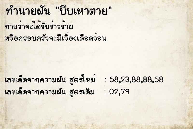 ทำนายฝันบีบเหาตาย ทำนายฝันทำนายฝันบีบเหาตาย