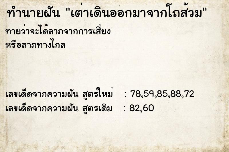 ทำนายฝันเต่าเดินออกมาจากโถส้วม ทำนายฝันทำนายฝันเต่าเดินออกมาจากโถส้วม