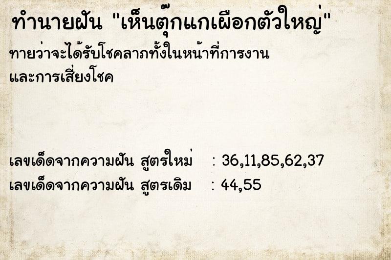 ทำนายฝันเห็นตุ๊กแกเผือกตัวใหญ่ ทำนายฝันทำนายฝันเห็นตุ๊กแกเผือกตัวใหญ่