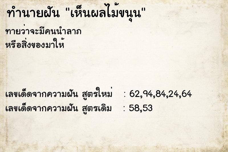 ทำนายฝันเห็นผลไม้ขนุน ทำนายฝันทำนายฝันเห็นผลไม้ขนุน