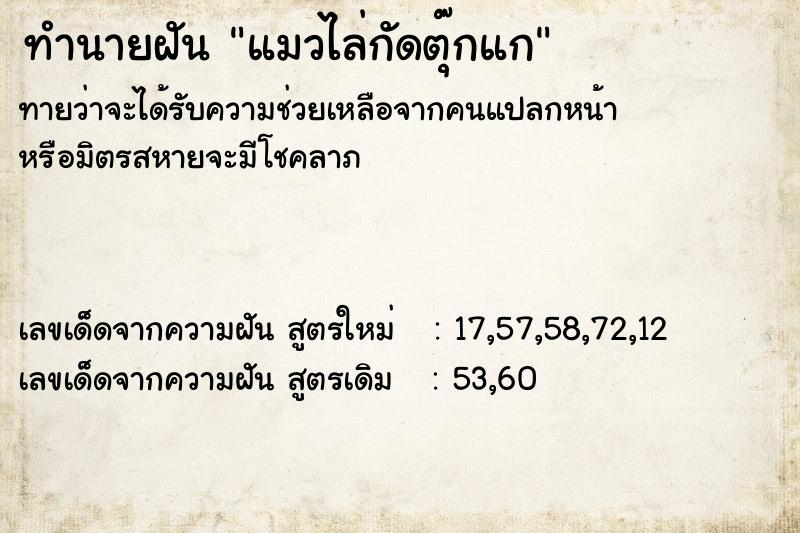 ทำนายฝันทำนายฝันแมวไล่กัดตุ๊กแก