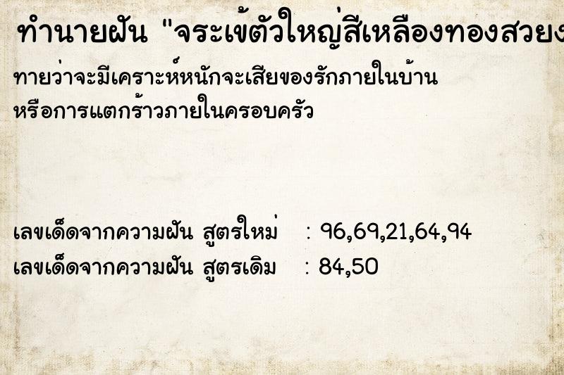 ทำนายฝันจระเข้ตัวใหญ่สีเหลืองทองสวยงาม ทำนายฝันทำนายฝันจระเข้ตัวใหญ่สีเหลืองทองสวยงาม