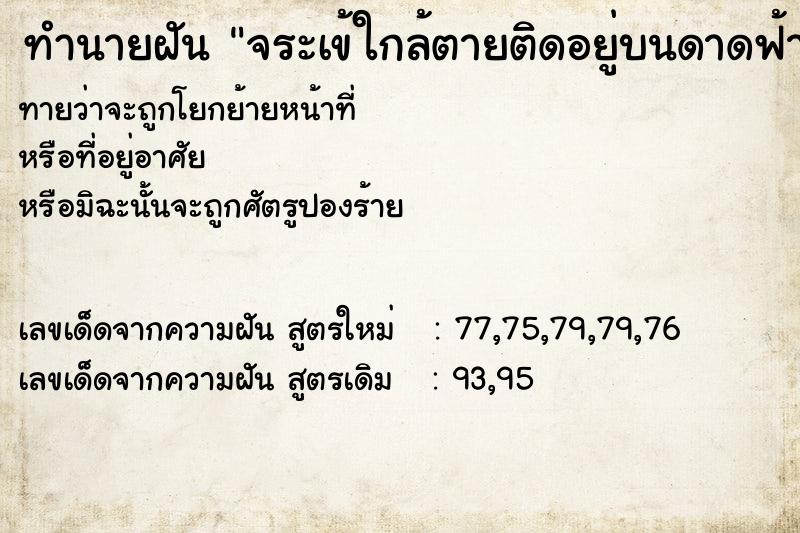 ทำนายฝันทำนายฝันจระเข้ใกล้ตายติดอยู่บนดาดฟ้า