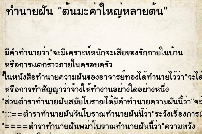 ทำนายฝัน ต้นมะค่าใหญ่หลายต้น ทำนายฝัน ต้นมะค่าใหญ่หลายต้น