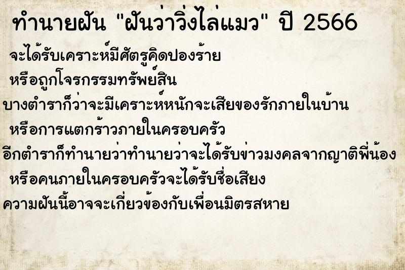ทำนายฝันทำนายฝันฝันว่าวิ่งไล่แมว
