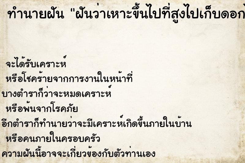 ทำนายฝันฝันว่าเหาะขึ้นไปที่สูงไปเก็บดอกไม้ ทำนายฝันทำนายฝันฝันว่าเหาะขึ้นไปที่สูงไปเก็บดอกไม้