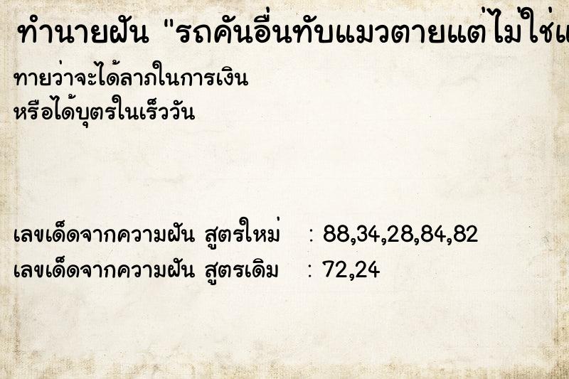 ทำนายฝันรถคันอื่นทับแมวตายแต่ไม่ใช่แมวบ้านเรา ทำนายฝันทำนายฝันรถคันอื่นทับแมวตายแต่ไม่ใช่แมวบ้านเรา