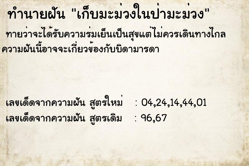 ทำนายฝันทำนายฝันเก็บมะม่วงในป่ามะม่วง