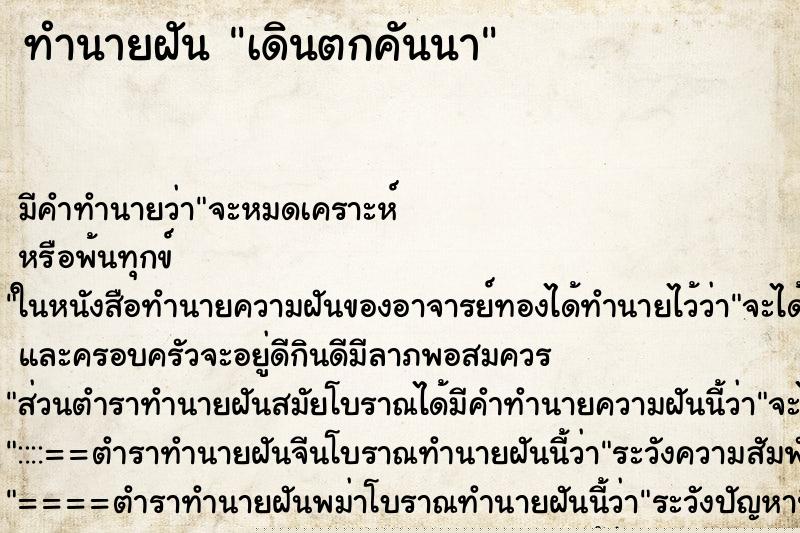 ทำนายฝัน เดินตกคันนา ทำนายฝัน เดินตกคันนา