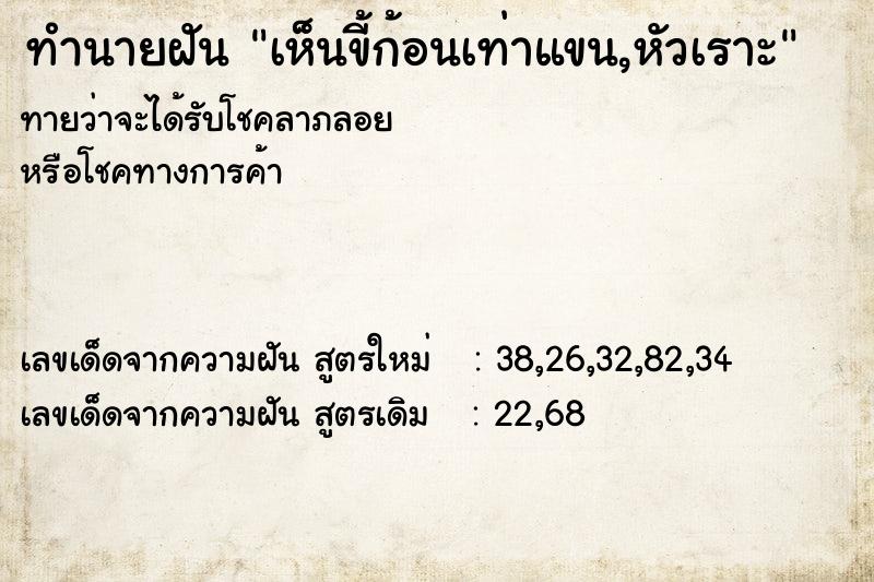 ทำนายฝันเห็นขี้ก้อนเท่าแขน,หัวเราะ ทำนายฝันทำนายฝันเห็นขี้ก้อนเท่าแขน,หัวเราะ